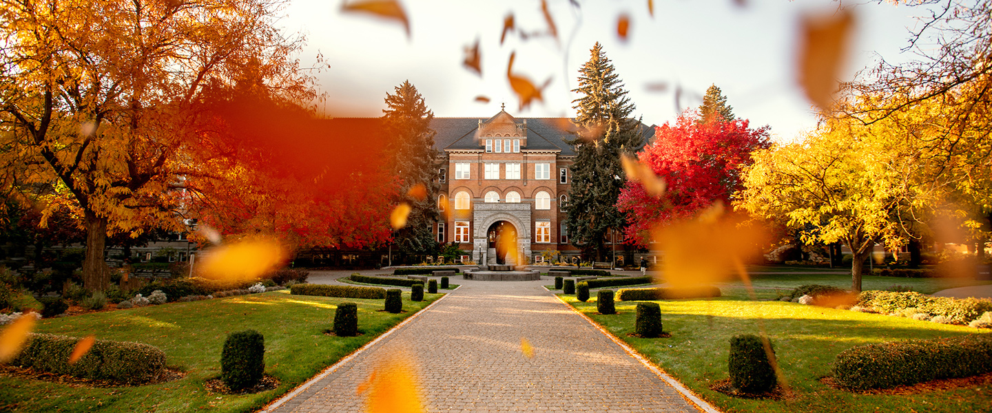 秋叶飘落在学院大厅前