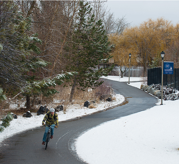 冬天，一个骑自行车的人在校园附近的百年小径上骑车. 