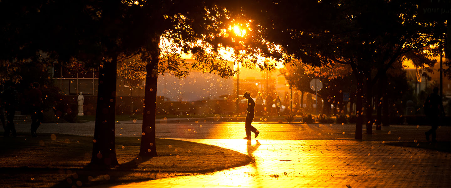 Student walks on campus at sunset 