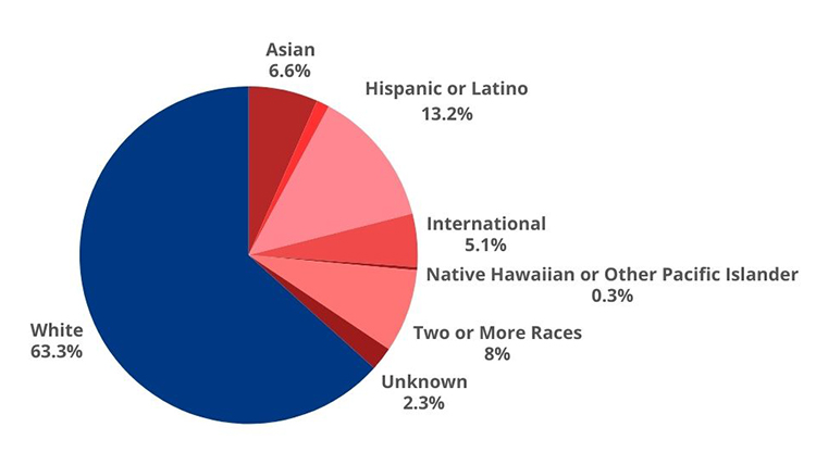 Pie graph showing Gonzaga's demographics, American Indian or Alaskan Native 0.48%, Asian 6.61%, Black or African American 1.22%, Hispanic or Latino 13.11%, International 5.07%, Native Hawaiian or Other Pacific Islander 0.31%, two or more races 7.93%, unknown 2.26%, White 63.01%