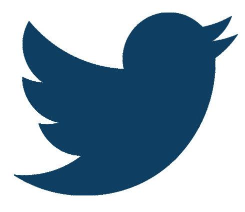twitter icon