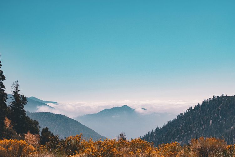 Mist-laden mountains