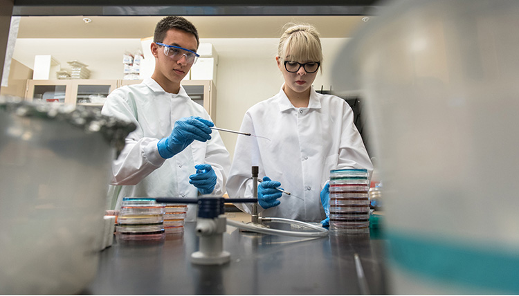 Students working in Biology Lab
