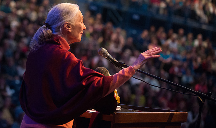 Dr. Jane Goodall