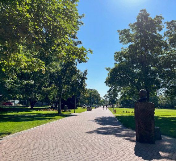 Bulldog Alley in Summer