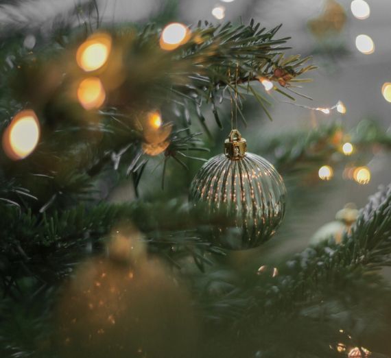 Image of Christmas Ornament hanging on a tree