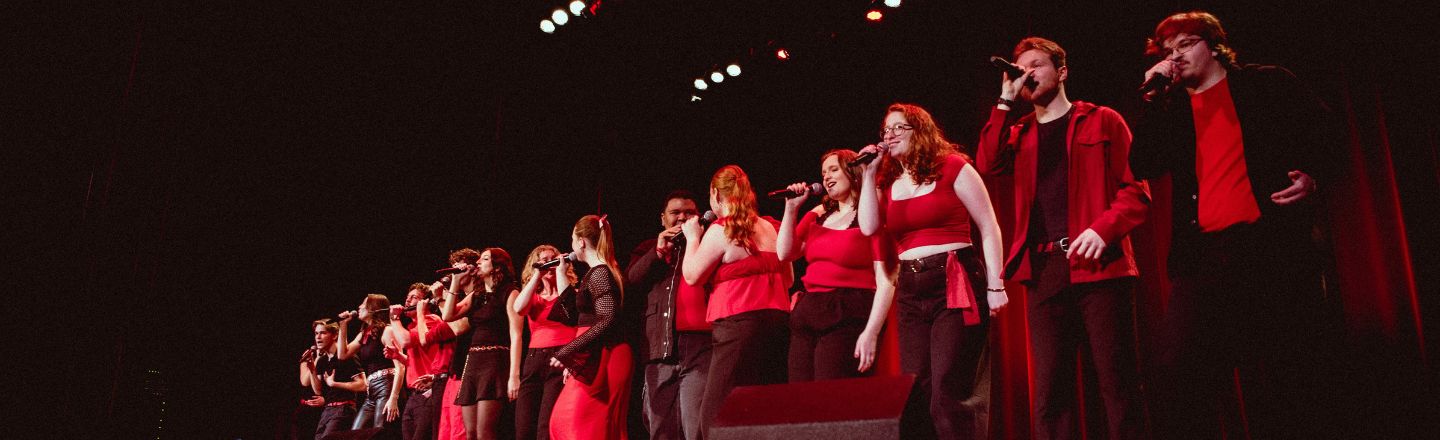 Image of Big Bing Theory Performing