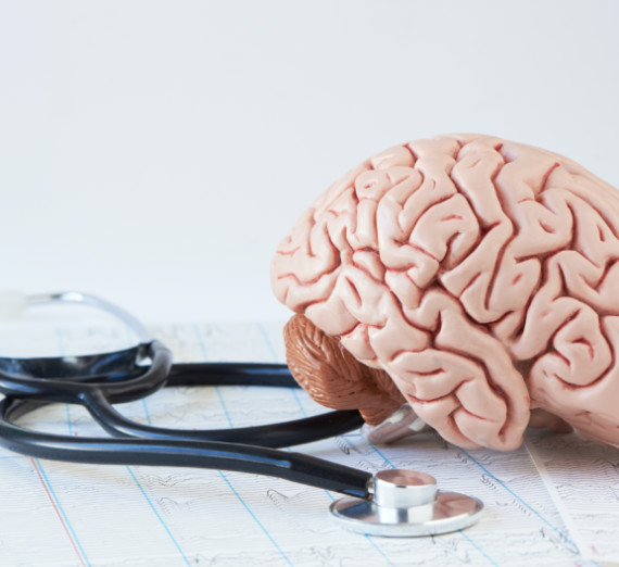 Neuroscience, Human brain model and stethoscope on background of brain waves from electroencephalography, neuroscience careers