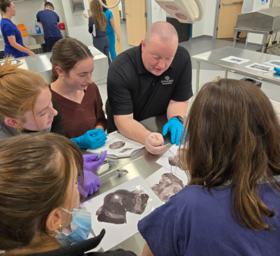 Dr. Kevin Measor instructing students using images of brains.