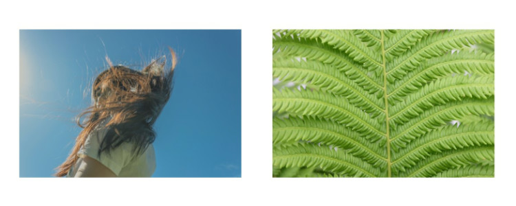 Photos of a person's long hair in the wind, and a close up of a fern.