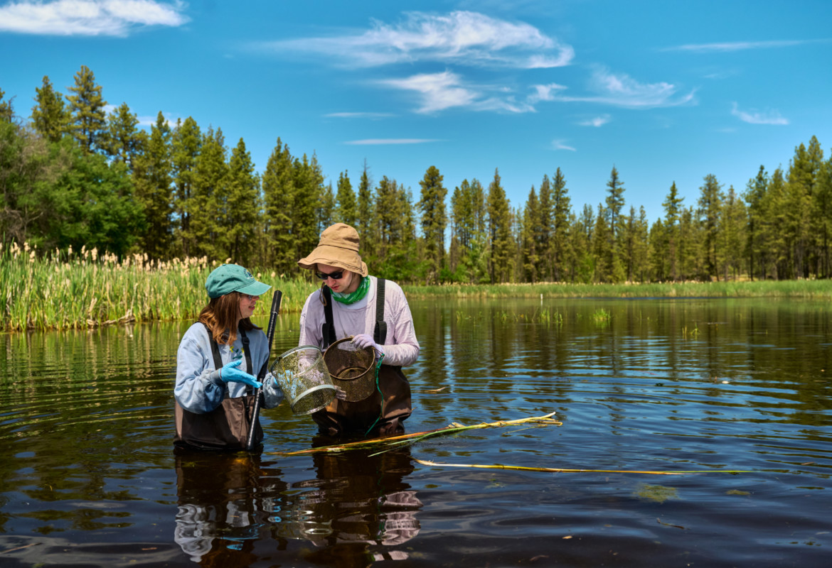 Gonzaga University Biology Students conducting research with Dr. Betsy Bancroft at the Turnbull National Wildlife Refuge.