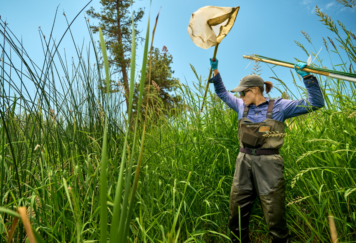 Gonzaga University Biology Students conducting research with Dr. Betsy Bancroft at the Turnbull National Wildlife Refuge.