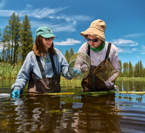 Gonzaga University Biology Students conducting research with Dr. Betsy Bancroft at the Turnbull National Wildlife Refuge.