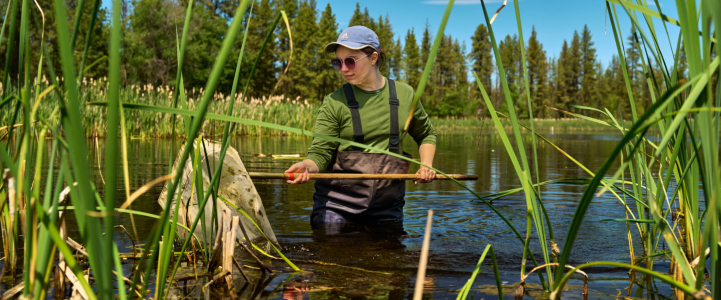 Gonzaga University Biology Students conducting research with Dr. Betsy Bancroft at the Turnbull National Wildlife Refuge.