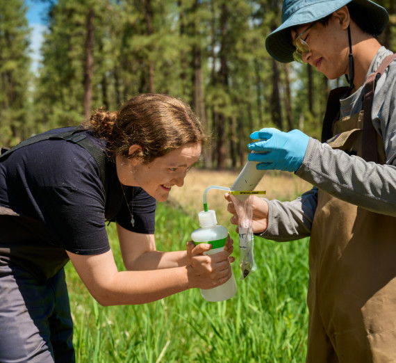 Gonzaga University biology students conduct pond ecology research in the field as part of Dr. Betsy Bancroft’s lab.