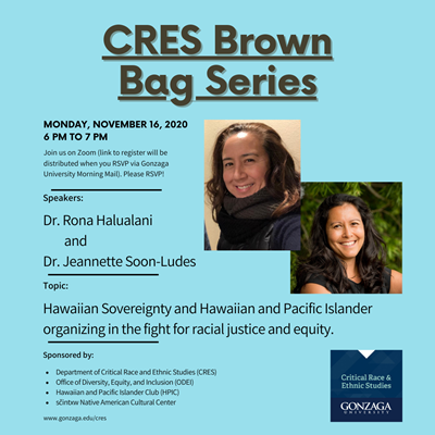 CRES Brown Bag Series flyer - 11-16-2020