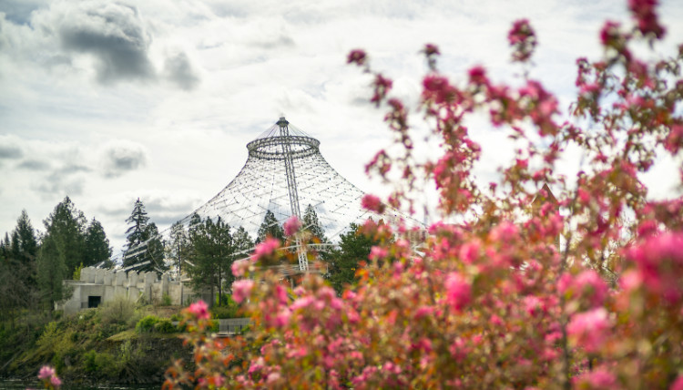 The pavilion in Riverfront Park seen from across the river with a bush in the foreground that has pink flowers. 