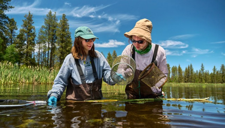 Two people standing in a pond wearing waders and hats looking at something in a net. 