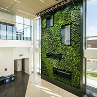 A wall with green plants integrated into design.