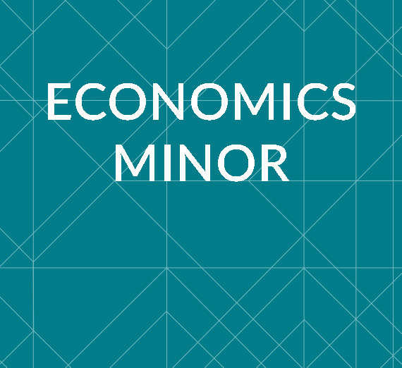 Economics Minor