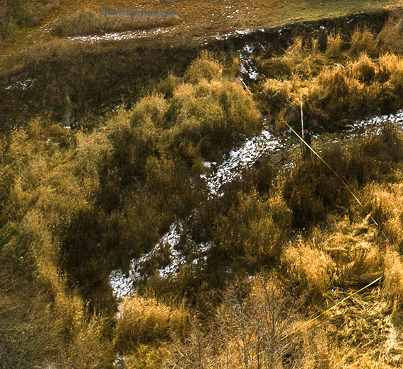 aerial view of creek