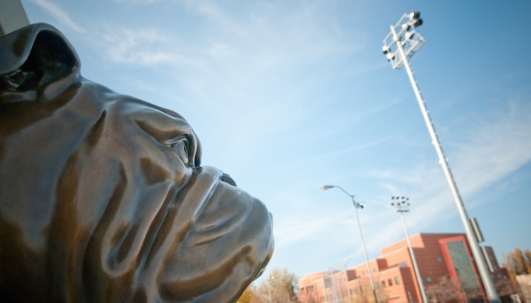 A profile view of the Gonzaga Bulldog.
