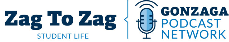 Zag to Zag Logo for Body