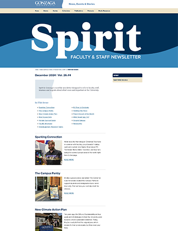 Screenshot of the web version of Spirit