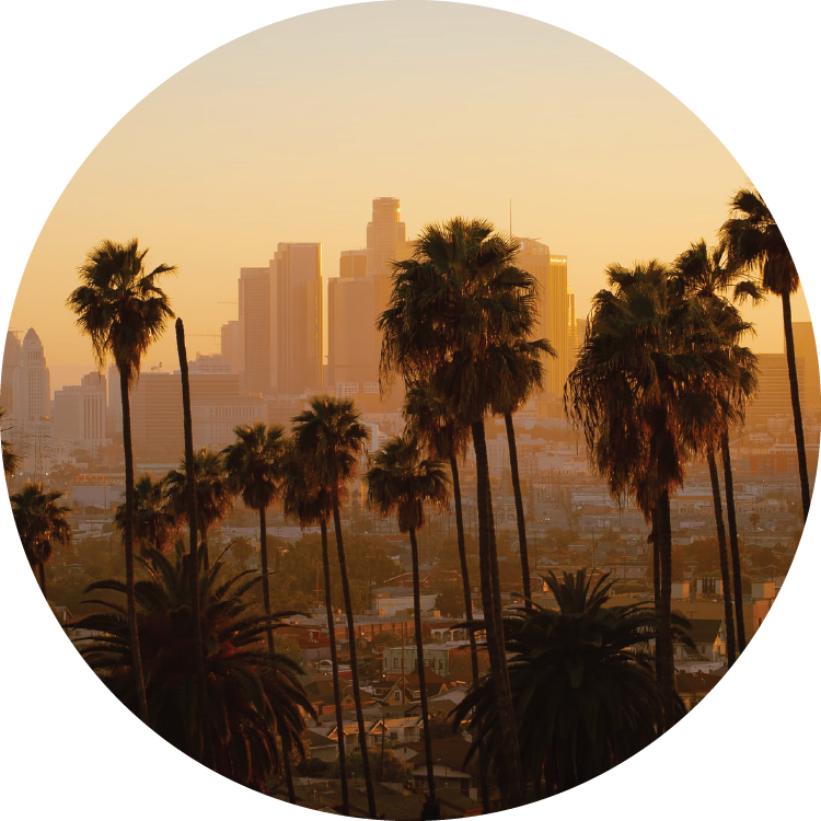 A tall row of dark palm trees contrast with the hazy orange background showing the Los Angeles city skyline.