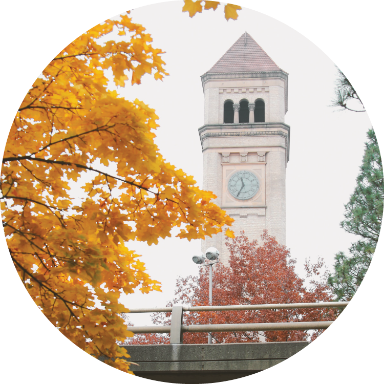 A sweep of autumn-orange leaves frame the edge of the photo with the Spokane clock tower behind.