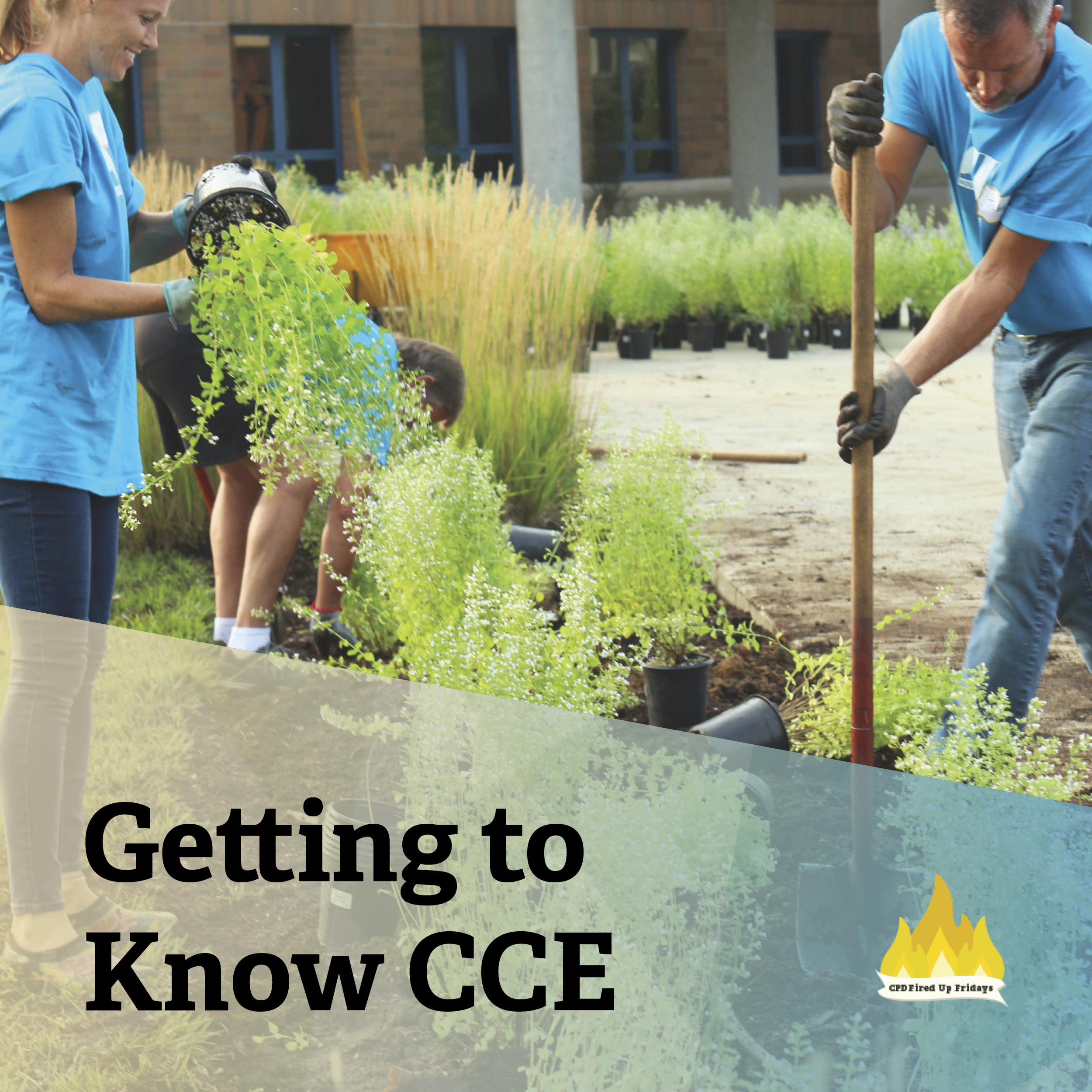 A man with gloves drives a shovel into the dirt of a garden with a woman standing nearby. Not far behind them another person bends over a plant. The text underneath reads: 'Getting to Know CCE'