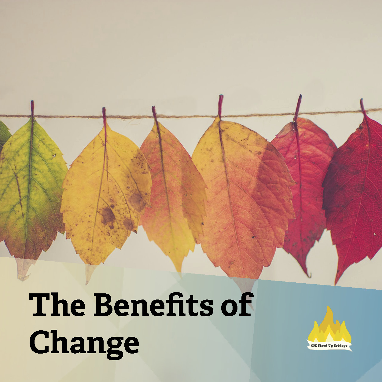 A series of leaves are displayed clipped on a line, showing how their color changes. The first leaf is green, with subsequent leaves in shades of yellow, orange, and finally a dark red. Underneath, text reads: 'The Benefits of Change.'
