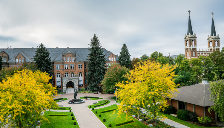 Picture of college hall from a drone.