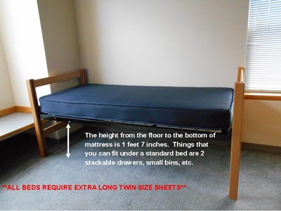 standard bed height 
