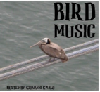 Bird music iZag Radio Cover Art