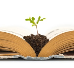 Picture of a plant growing out of an open book