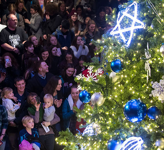 Hemmingson Center Tree Lighting