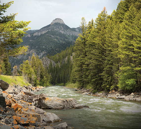 A scenic view of a creek, evergreens, and a mountain in Montana