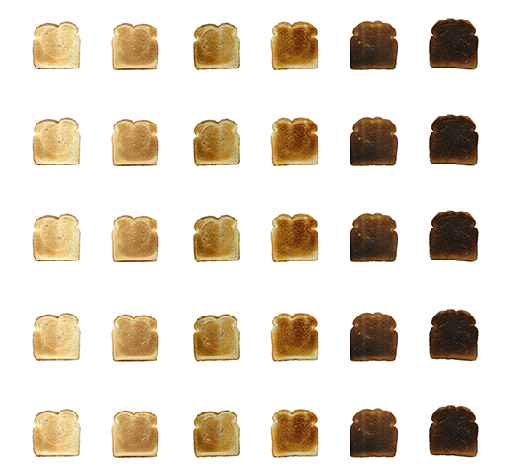 variations by whitney evans colors of toast