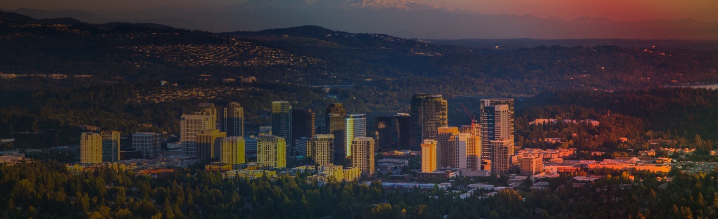 bellevue skyline colorful