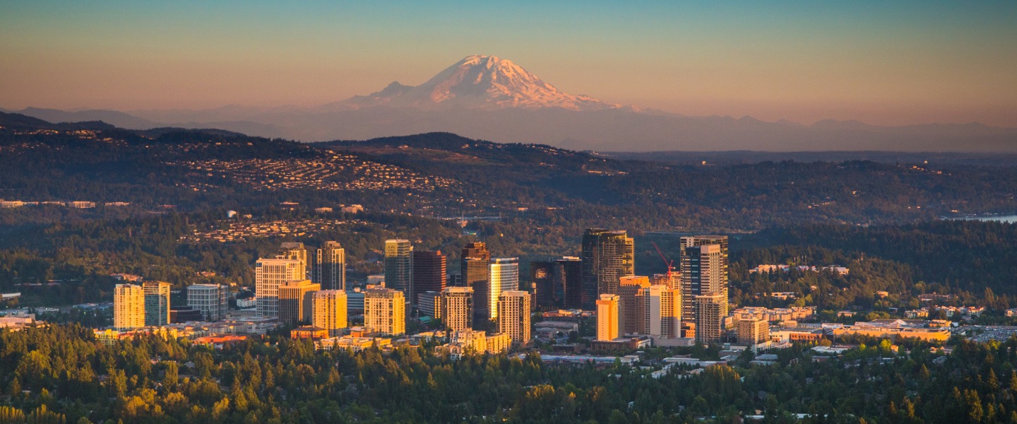 bellevue skyline with mountain in the background