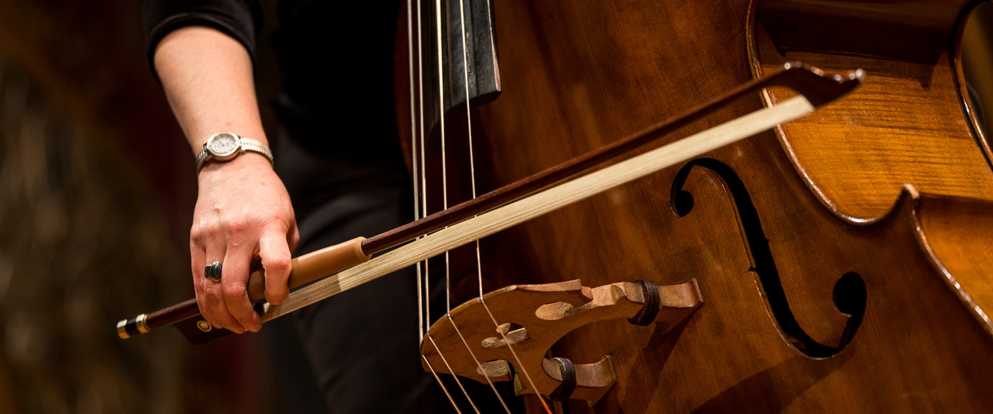 Decorative image. Close up view of double bass being played.