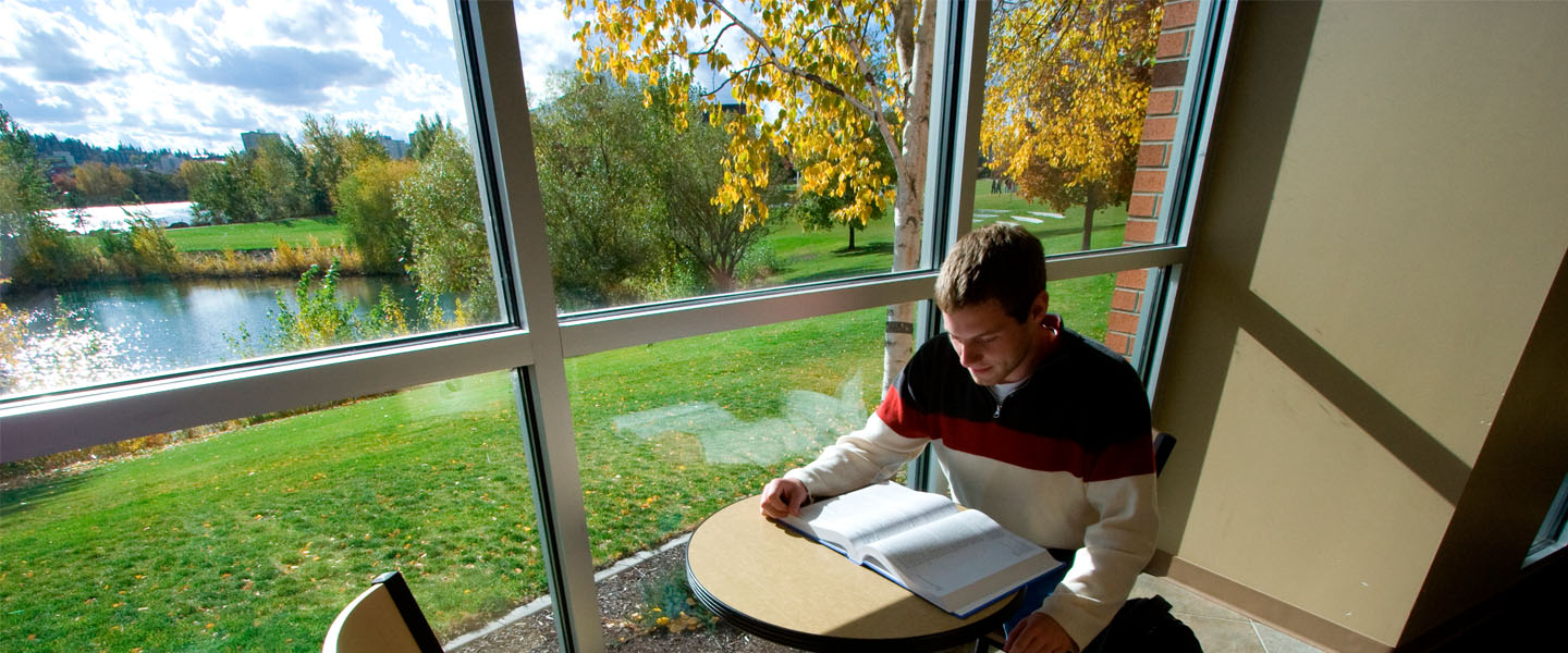 Student studying in Jepson Lounge 