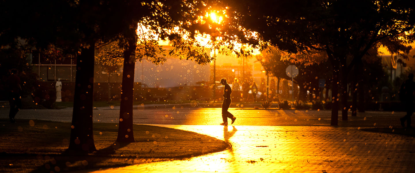 Student walks on campus at sunset