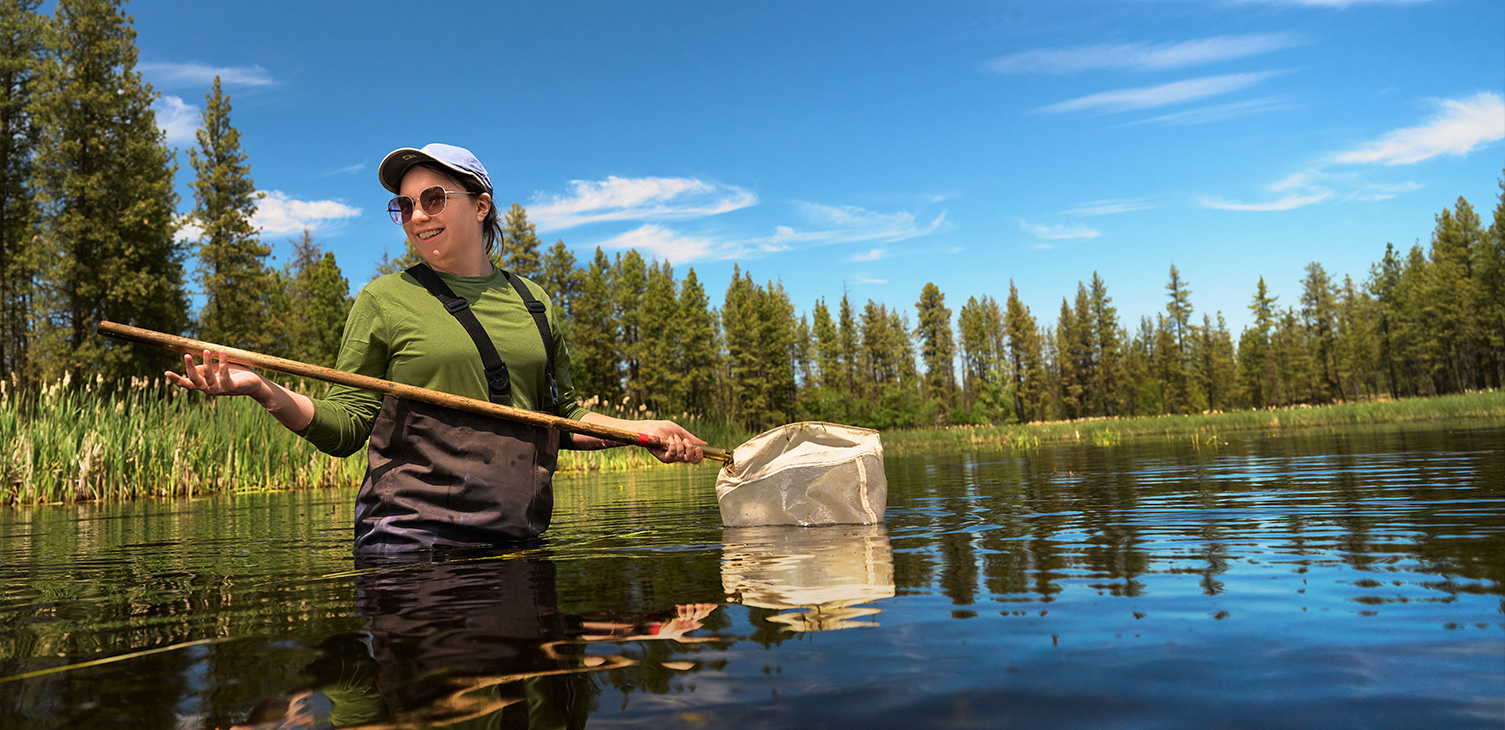 Students capture and measure specimens in ponds located in Turnbull Wildlife Preserve as part of biology professor Betsy Bancroft’s research.