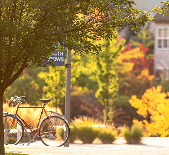 Campus pathway with bike parked on the side.