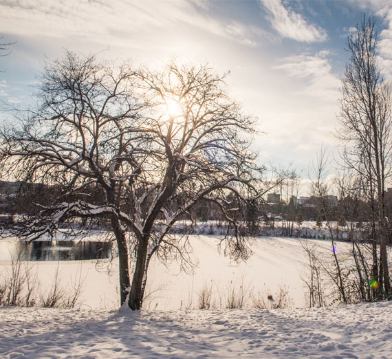 lake arthur frozen in winter 
