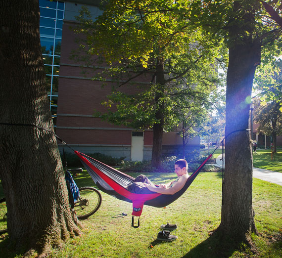 student studying in hammock 