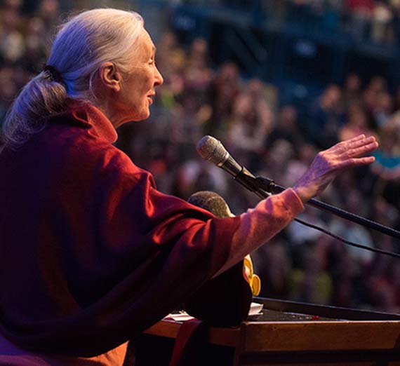 Jane Goodall addresses a large audience.