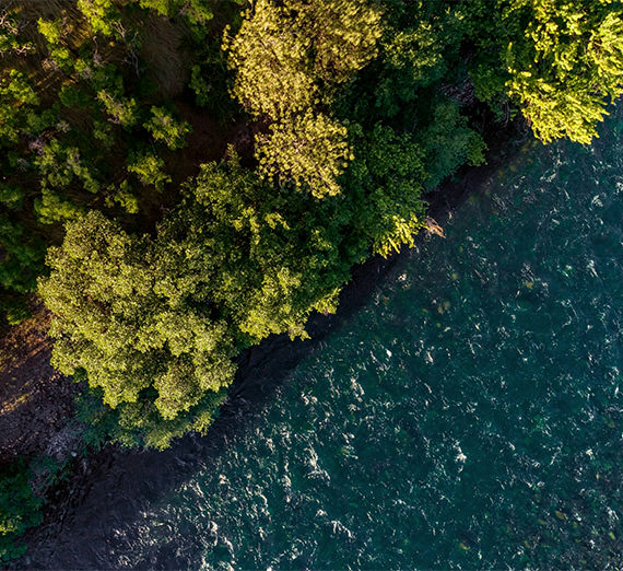 aerial image of river and trees